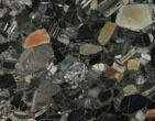 Polished Black Jasper Conglomerate Slab - Australia #132963-1